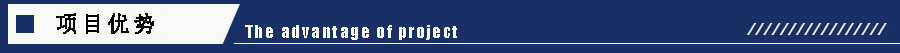 項(xiàng)目優(yōu)勢(shì).jpg